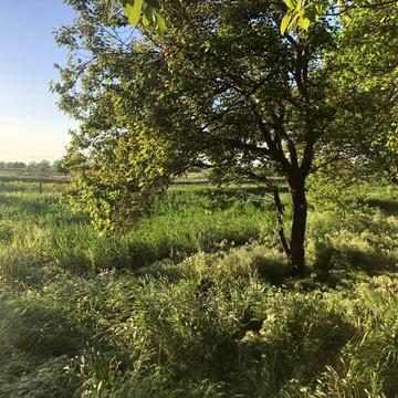 Дом возле леса и днепра