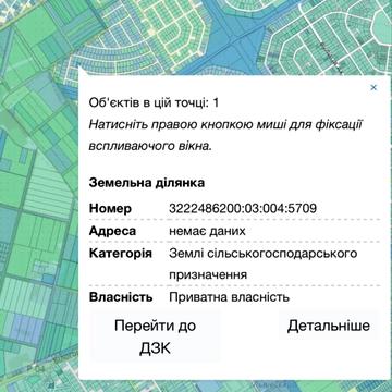 Сільська рада, Софіївська борщагівка, Бучанський, Київська область 37000.0 USD
