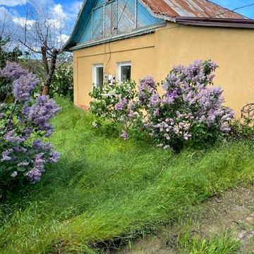 Продам дом в селе Троицкое Беляевский район