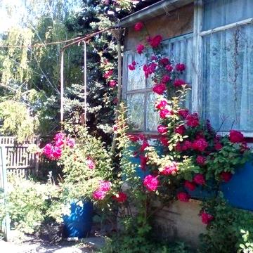Продам будинок в селі