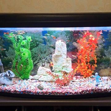 4-ох кімн квартира , центр міста