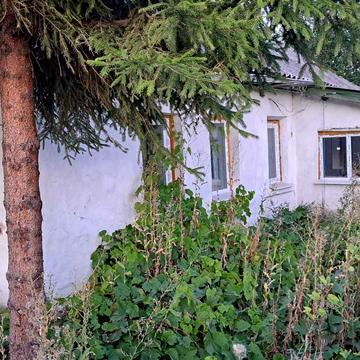 шосейна, 38