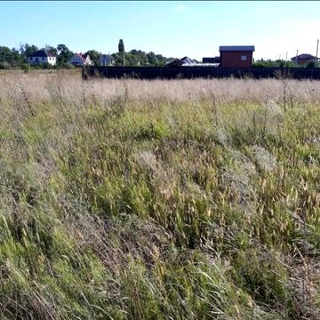 Личанка, Бучанський, Київська область 10000.0 USD