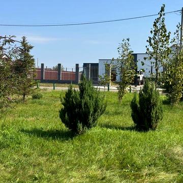 Казкове місце біля річки в 4 км від Києва