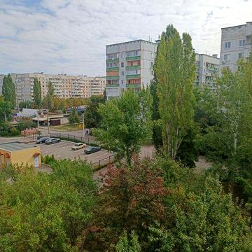 Сдам 1к метро Салтовское