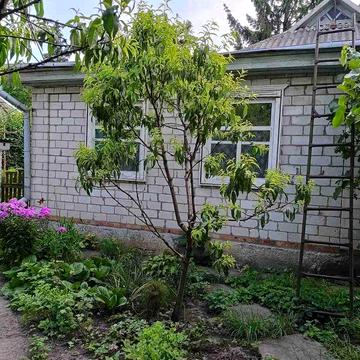 Продається затишний будинок у центрі міста Глобине