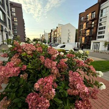 1 кім. квартира ЖК Білий Шоколад ЖК Білий Шоколад