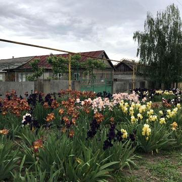 Продам будинок у близькості до центра міста, 24 сотки, газ/вода/світло