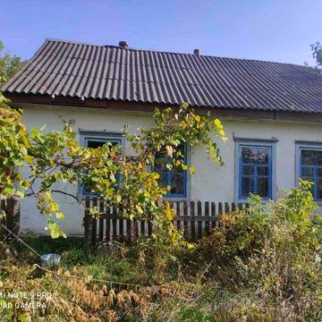 Продам Будинок с. Ігнатпіль + земельна ділянка
