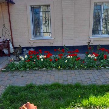 Окремий будинок в полтаві