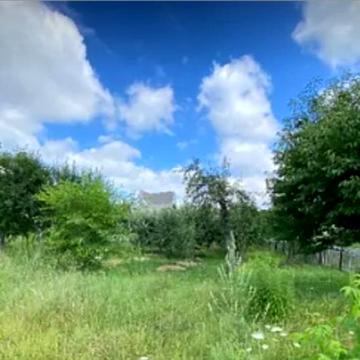 Данила Нечая, 13а