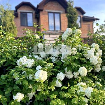 Весняна вул.