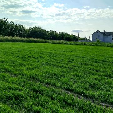 Бохоники, Вінницький, Вінницька область 18000.0 USD