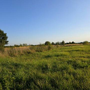 Підлісся, Івано-Франківський, Івано-Франківська область 14000.0 USD