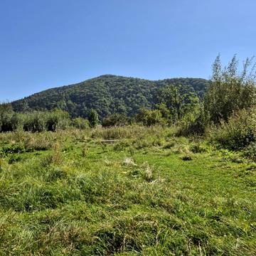 лесі Українки