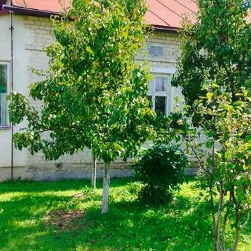 Продаж 3к Дім Центральна вулиця