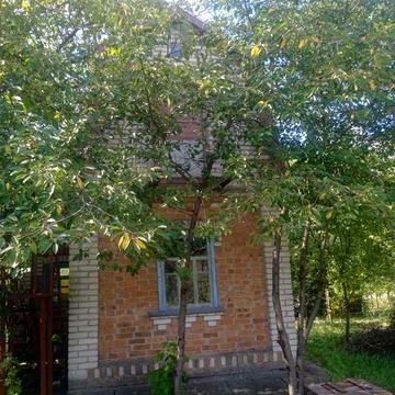 Продам дачний будинок