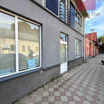 Мукачівська вул., 22