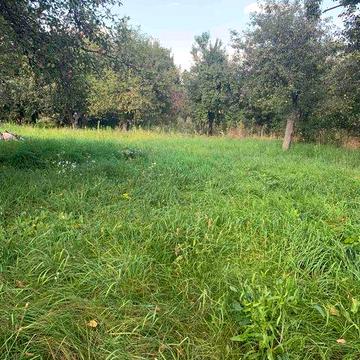 Продам будинок, с.Лісові Сороченці Прилуцький район