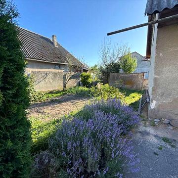 Продається будинок в м.Радивилів