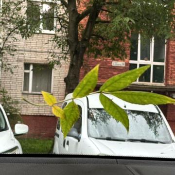 Продаж 3 кімнатної квартири по вулиці Панча ( р-н Чорновола)