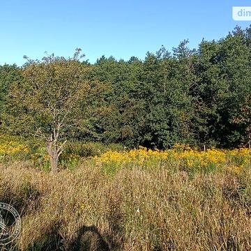 Зарванці, Вінницький, Вінницька область 8000.0 USD