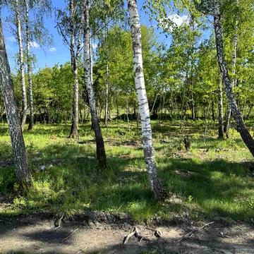 Кричевського, 25Б