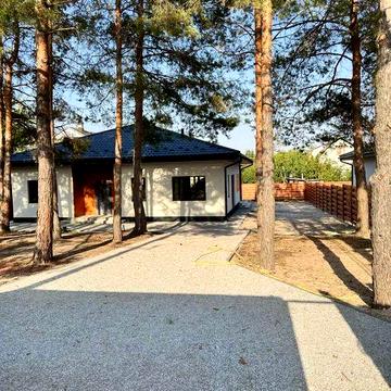 Будинок біля річки та соснового лісу