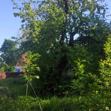 Дашківці, Вінницький, Вінницька область 4000.0 USD