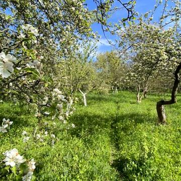 Підлісна, 15а