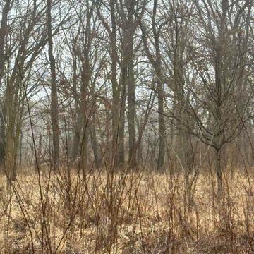 Козин, Обухівський, Київська область 45000.0 USD