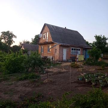 Вишнева
