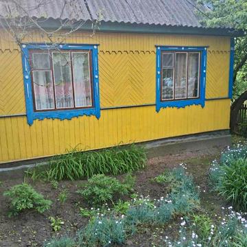Миколи Жука, 62
