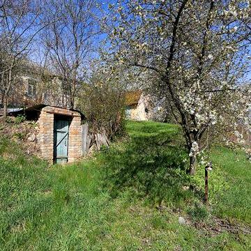 Хата в селі Біївці (Момоти)