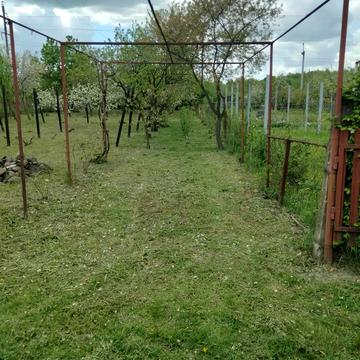 Тязів, Івано-Франківський, Івано-Франківська область 4000.0 USD