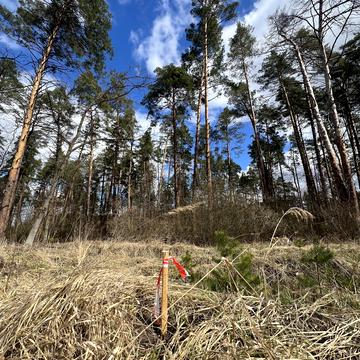 Дмитрівка, Бучанський, Київська область 100000.0 USD