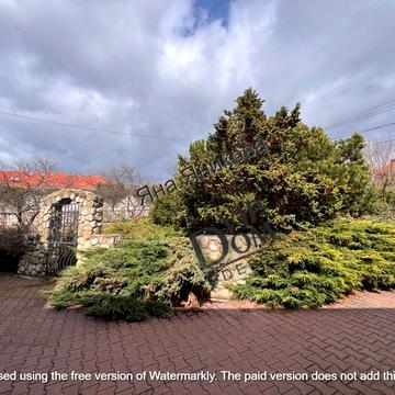 Центральна вул.