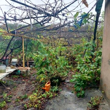 Володимира Хавкіна вул., 55