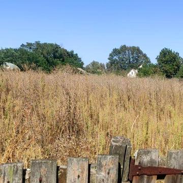 Романькивський провулок