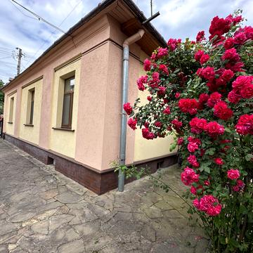 Республіканська вул.