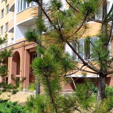Дворівнева квартира в Бучі.