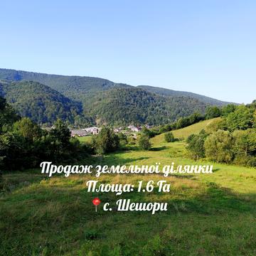Шешори, Косівський, Івано-Франківська область 130000.0 USD