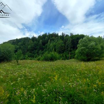 Космач, Івано-Франківський, Івано-Франківська область 26400.0 USD