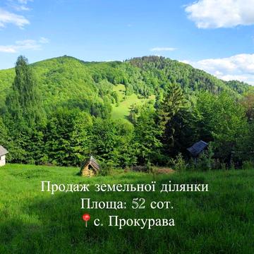 Шешори, Косівський, Івано-Франківська область 25000.0 USD