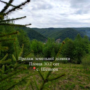 Шешори, Косівський, Івано-Франківська область 25000.0 USD