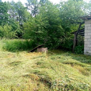 Будинок з земельною ділянкою