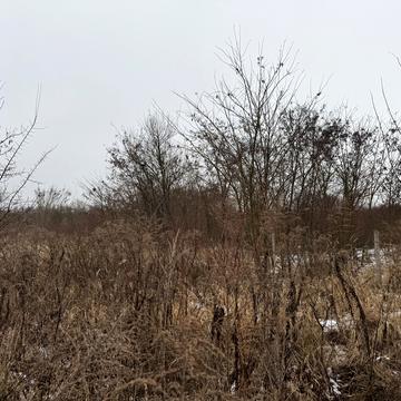 Озерна вул., 88