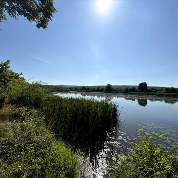 Греко-католицький собор, Ужгород, Закарпатська область 20000.0 USD