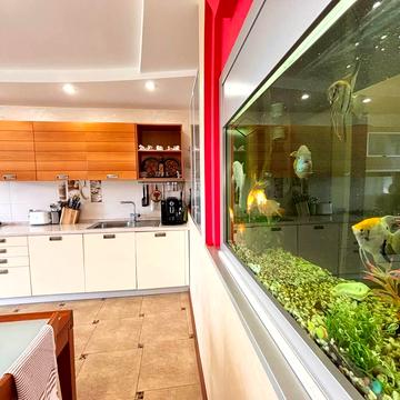 Володимира Антоновича вул. (Свердлова), 26