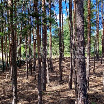 Новообухівське шосе